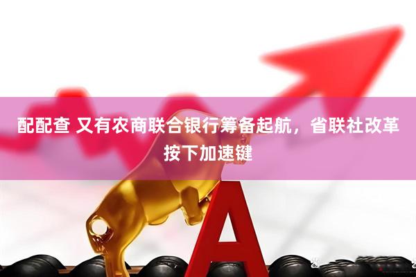 配配查 又有农商联合银行筹备起航，省联社改革按下加速键