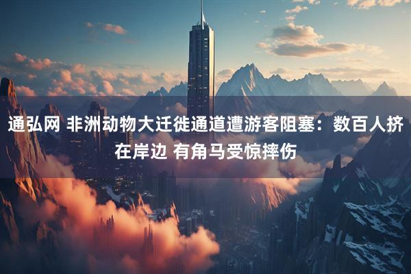 通弘网 非洲动物大迁徙通道遭游客阻塞：数百人挤在岸边 有角马受惊摔伤