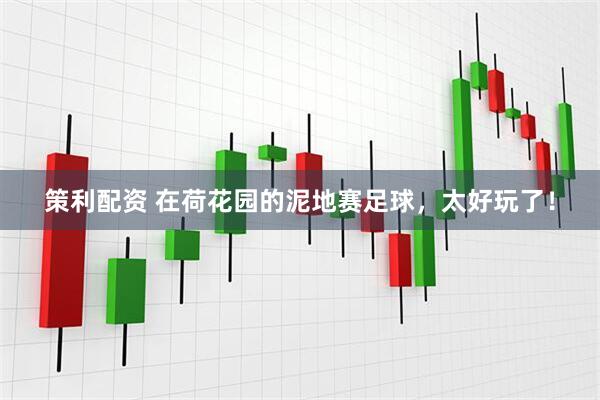 策利配资 在荷花园的泥地赛足球，太好玩了！