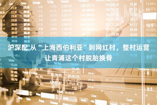 沪深配 从“上海西伯利亚”到网红村，整村运营让青浦这个村脱胎换骨