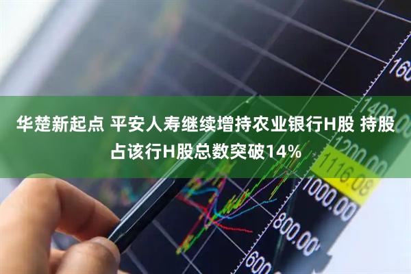 华楚新起点 平安人寿继续增持农业银行H股 持股占该行H股总数突破14%