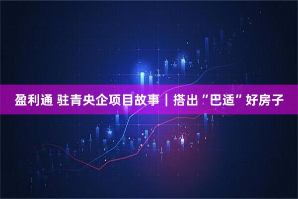盈利通 驻青央企项目故事｜搭出“巴适”好房子