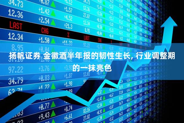 扬帆证券 金徽酒半年报的韧性生长, 行业调整期的一抹亮色