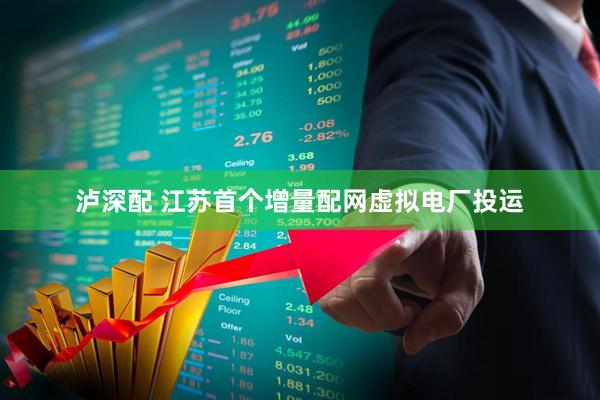 泸深配 江苏首个增量配网虚拟电厂投运